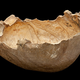 Image for article titled Grim Discovery Confirms Cannibalism Among Early Britons